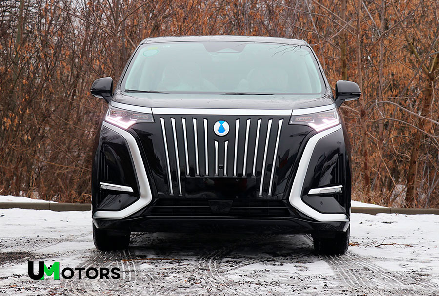 Передняя часть кузова Denza D9